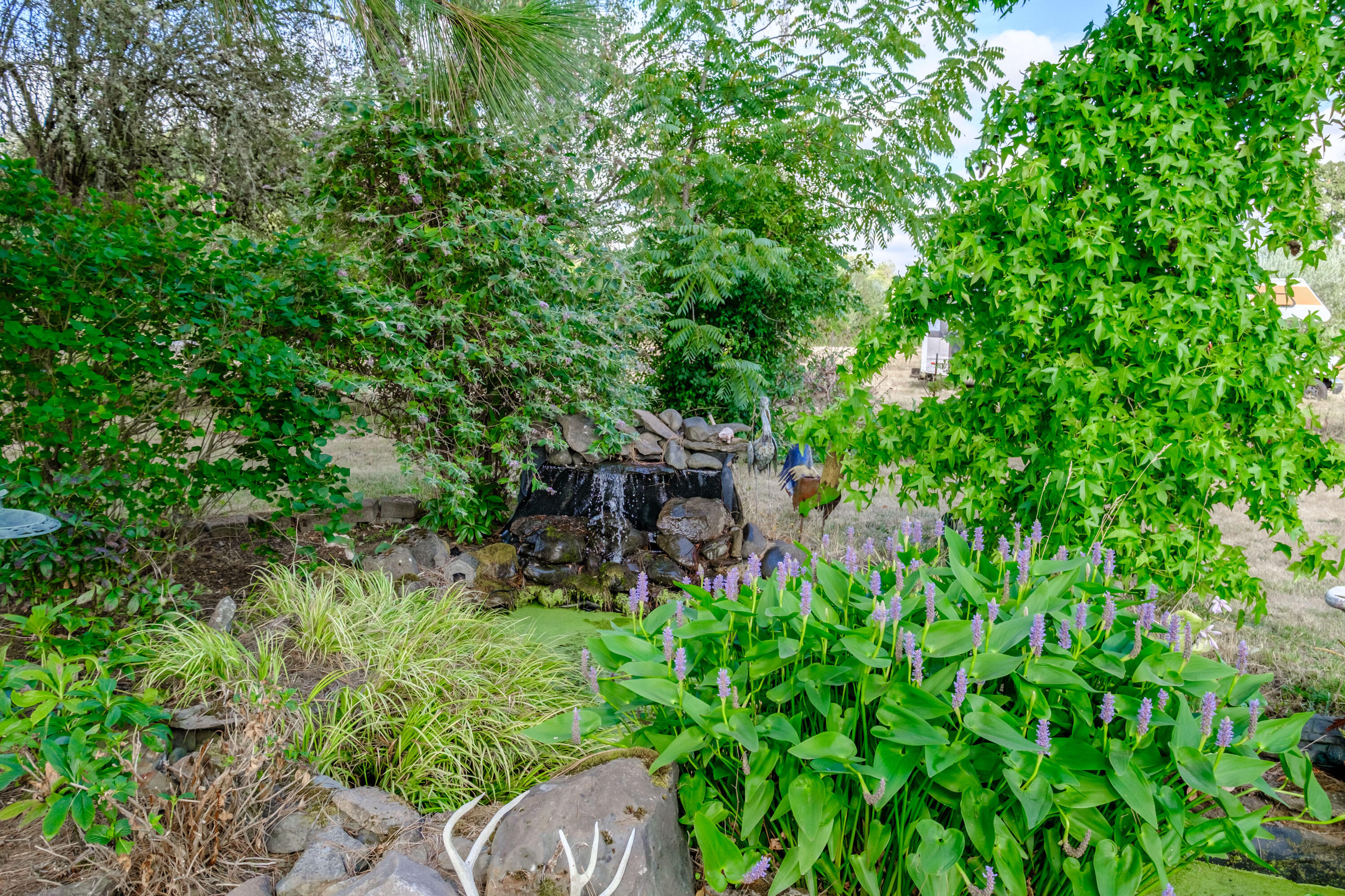 12495 Clow Corner Road Dallas, OR 97338 - Photo 46 of 50 a backyard of a house with lots of green space