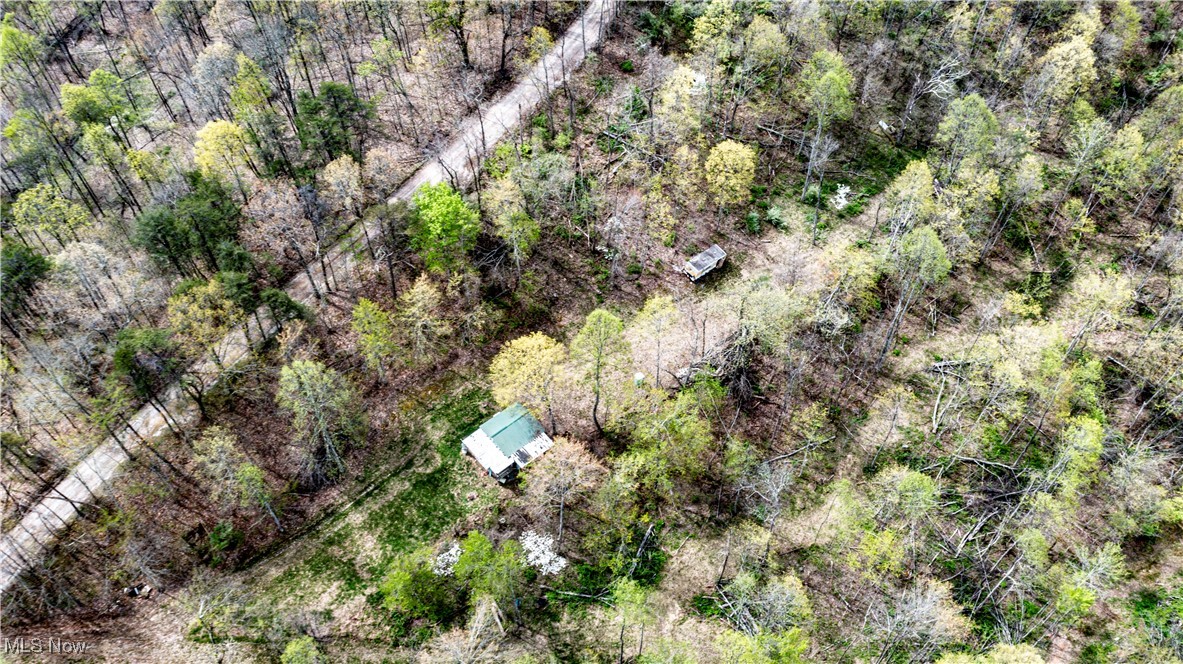 4143 Conrad Run Road Palestine, WV 26160 - Photo 5 of 10 Drone / aerial view