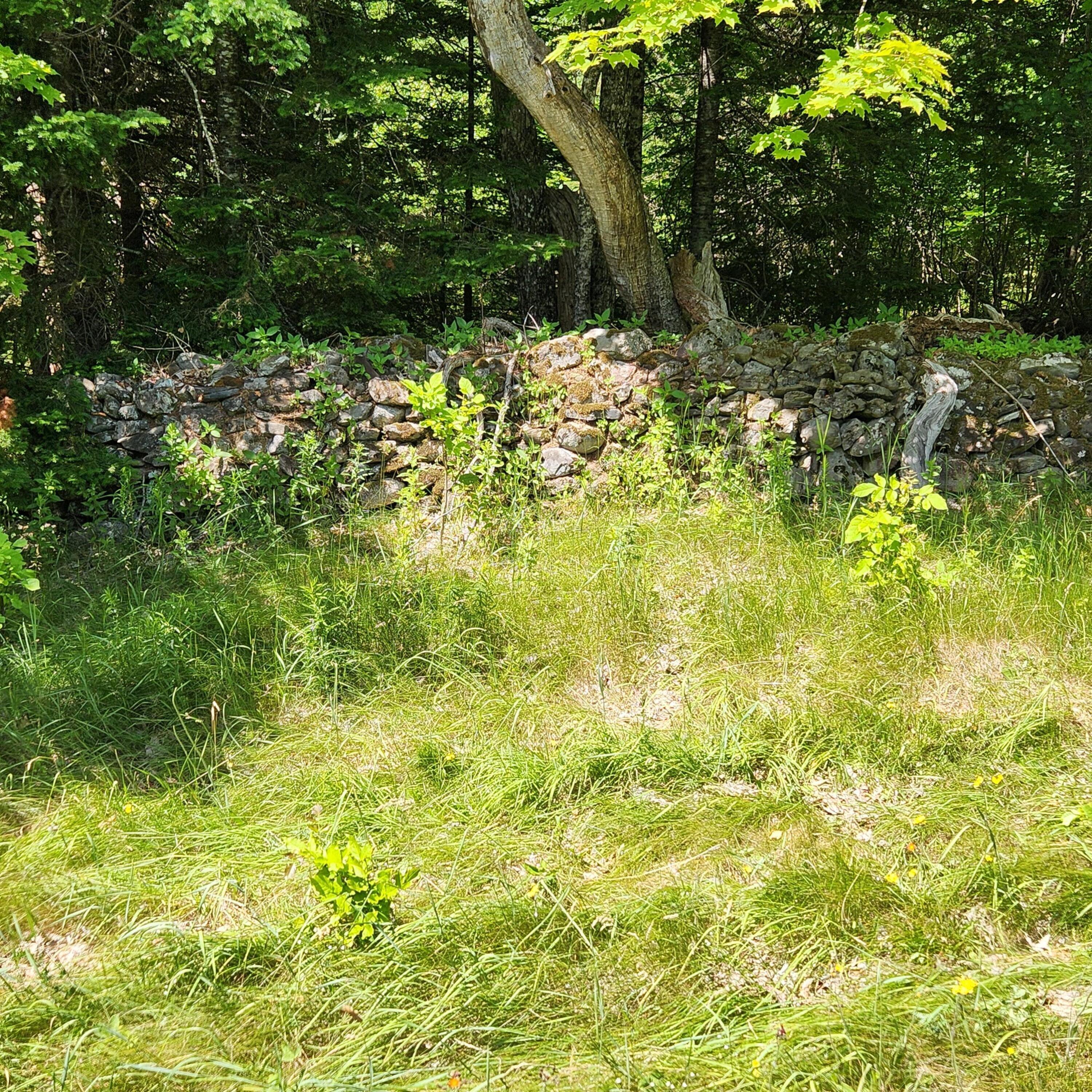 10 Carr Road Burlington, ME 04417 - Photo 19 of 21 20250627_140030