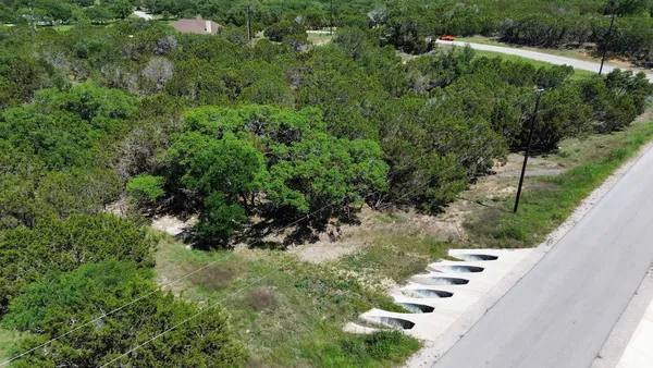 a view of a garden with a tree