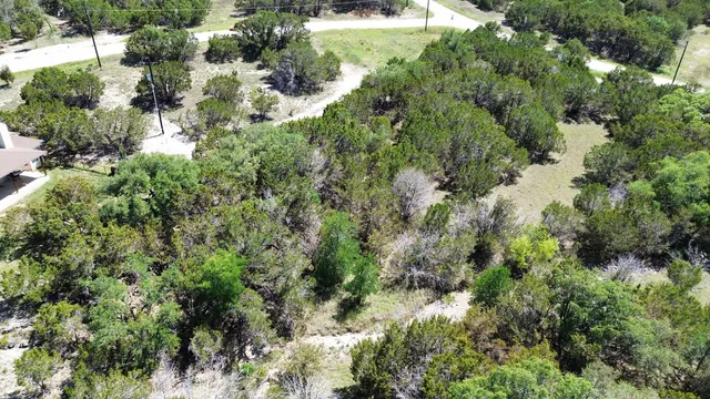 an aerial view of residential houses with outdoor space and trees