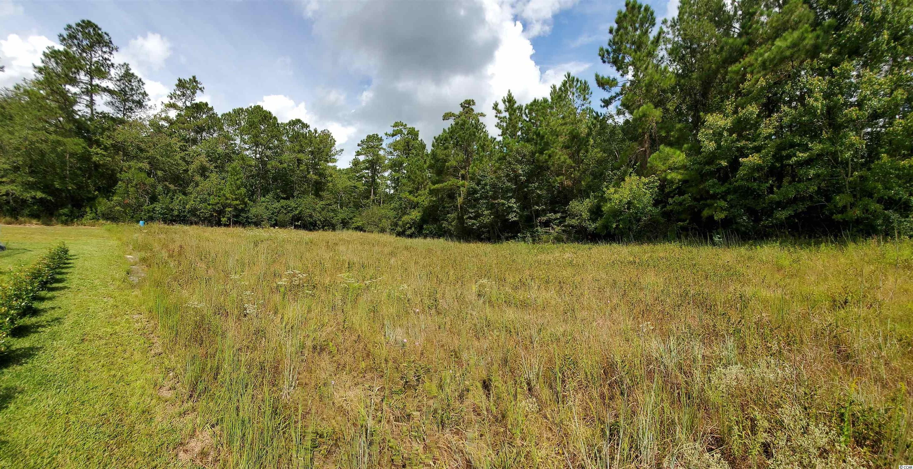 Tbd Perrin Road Loris, SC 29569 - Photo 3 of 4 Gallery Image 3