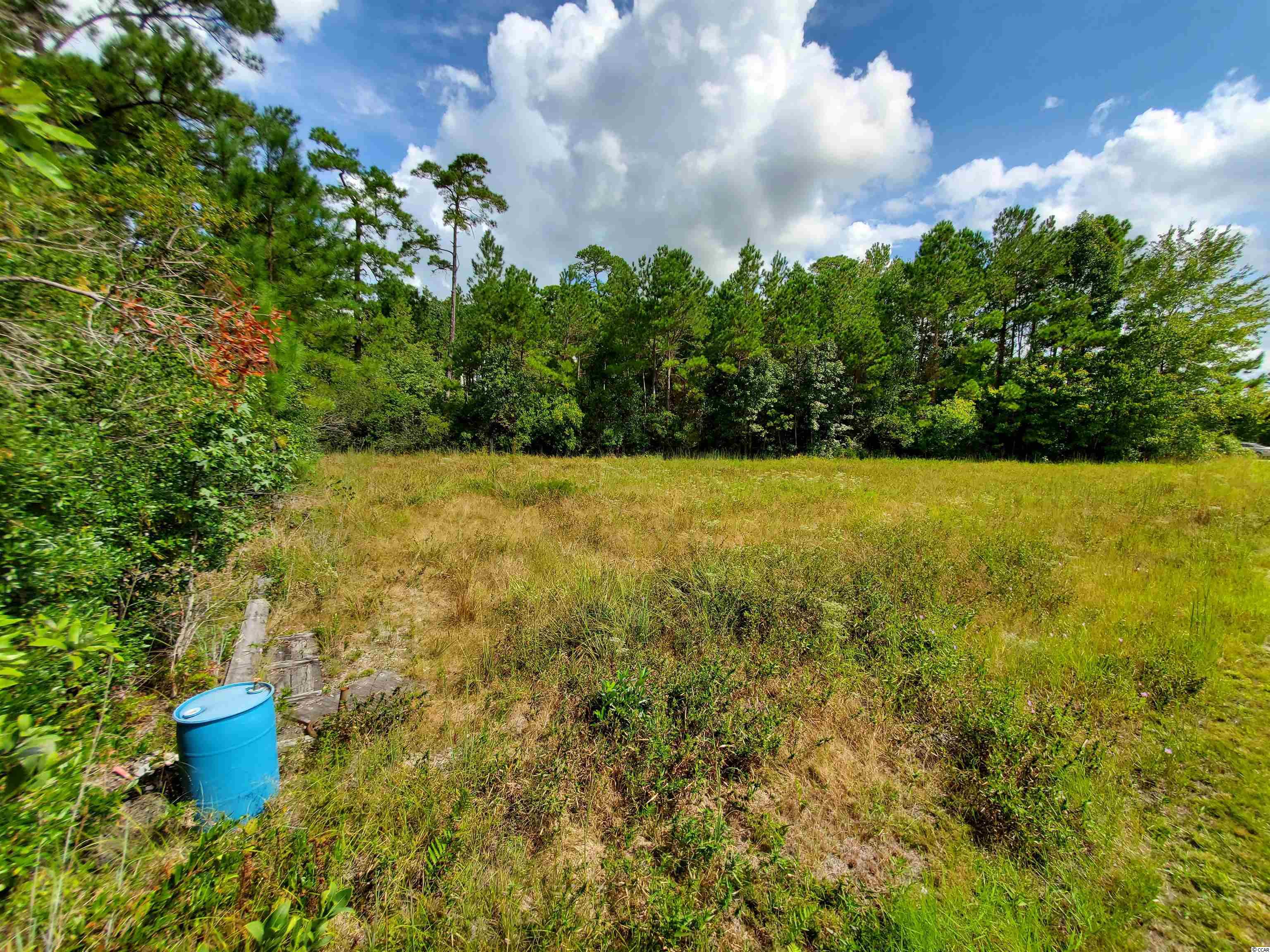 Tbd Perrin Road Loris, SC 29569 - Photo 4 of 4 Gallery Image 4