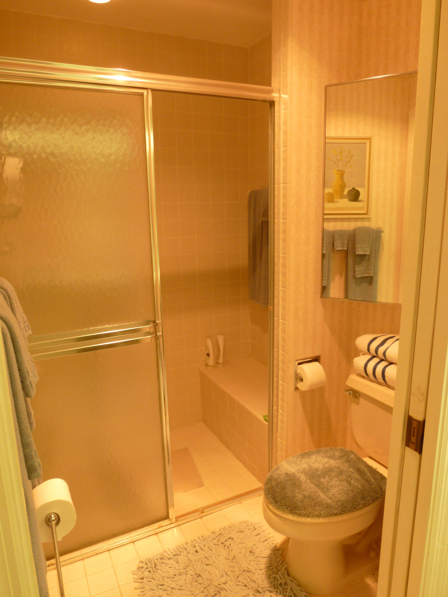 11064 Rios Road Boca Raton, FL 33498 - Photo 10 of 15 Master Bathroom