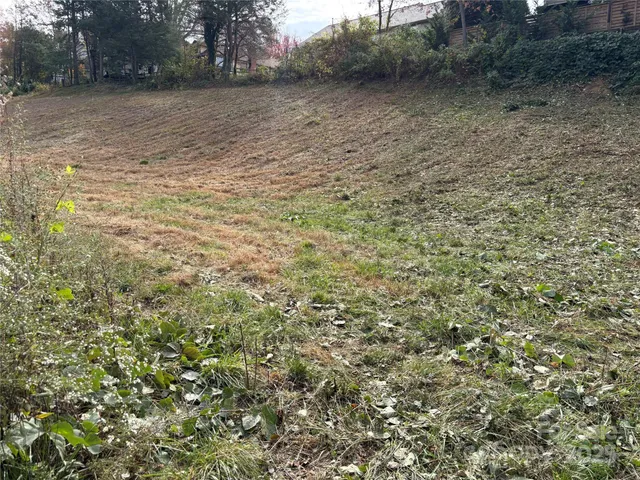 a view of a dry yard with wooden fence