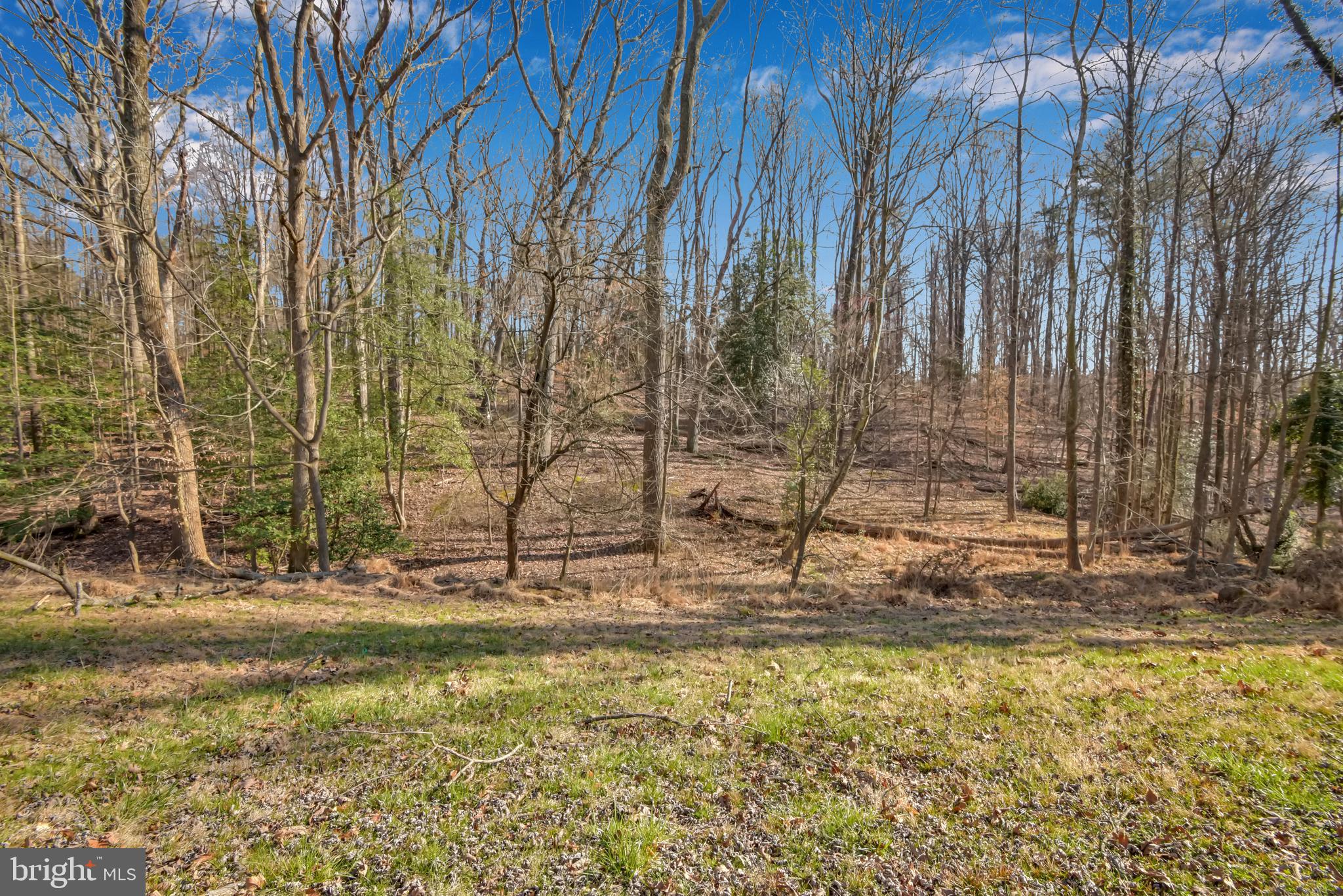 10800 Harley Road Lorton, VA 22079 - Photo 89 of 108 View