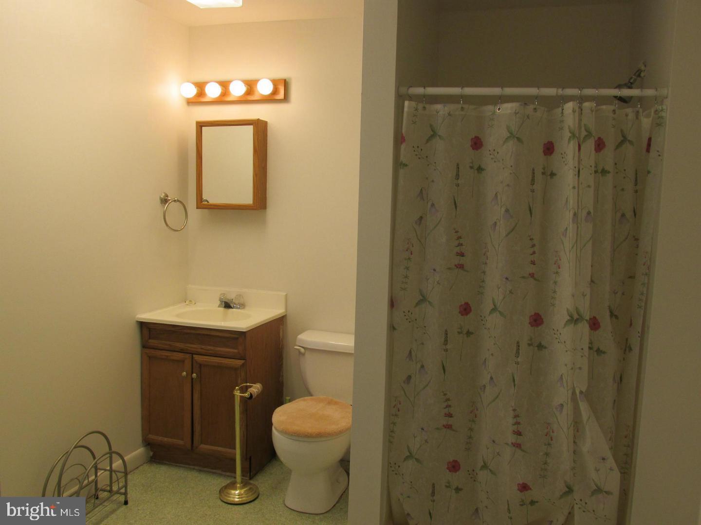 10800 Harley Road Lorton, VA 22079 - Photo 97 of 108 Bathroom with Shower