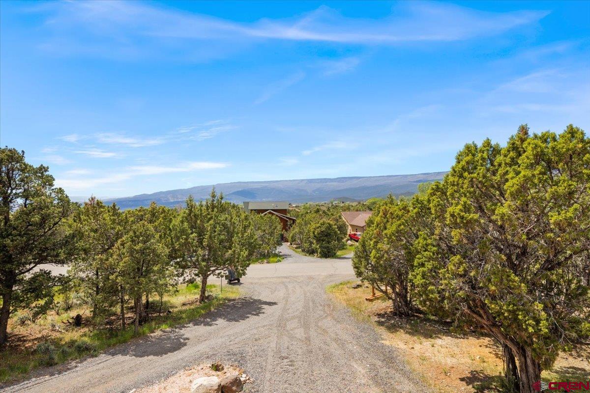 19016 Pinon Drive Cedaredge, CO 81413 - Photo 42 of 45 a view of a pathway with a yard