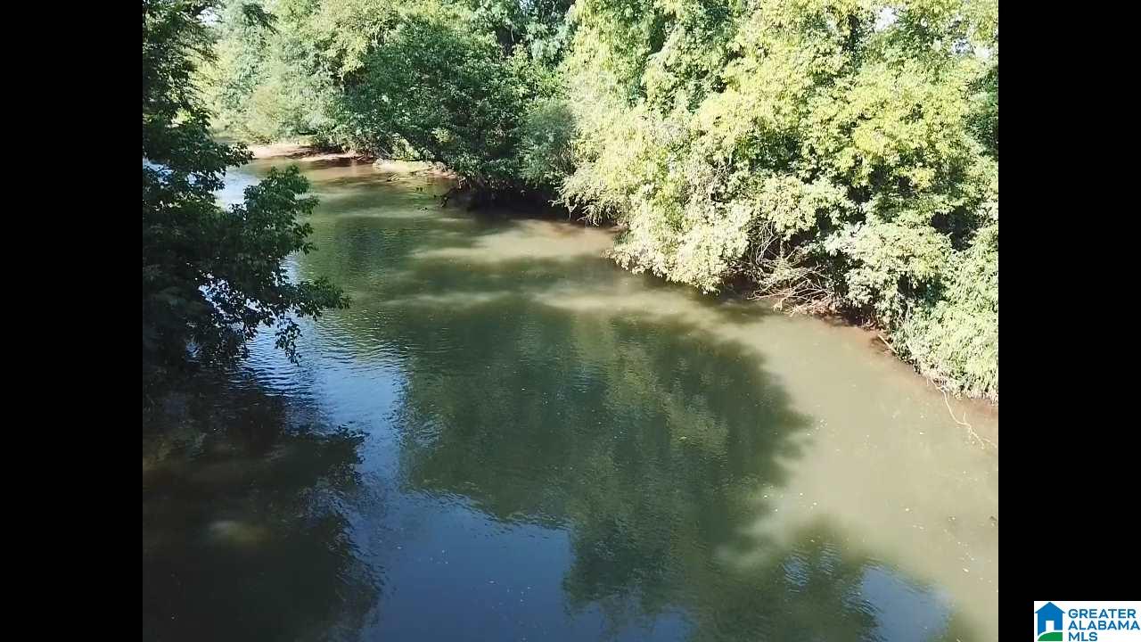 160 Strickland Lane Alpine, AL 35014 - Photo 13 of 50