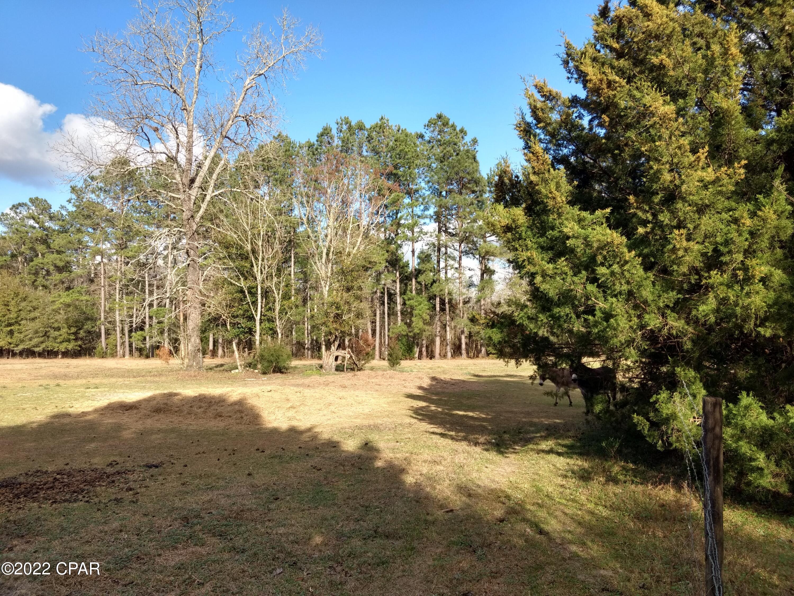 2972 Coon Bottom Road Ponce de Leon, FL 32455 - Photo 11 of 39 Gallery Image 11