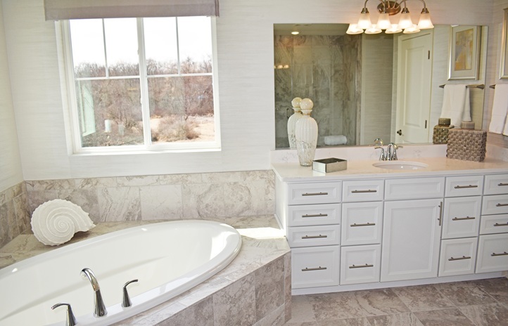 1174 Slade Road South Elgin, IL 60177 - Photo 11 of 18 a bathroom with a tub sink and mirror