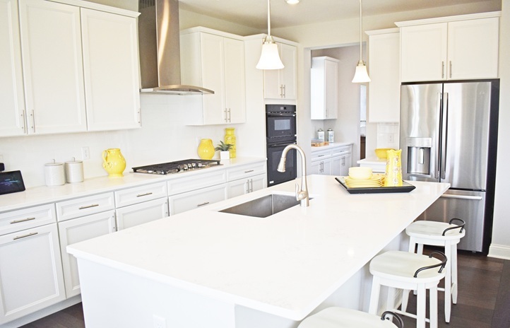 1174 Slade Road South Elgin, IL 60177 - Photo 5 of 18 a kitchen with a refrigerator and a stove top oven