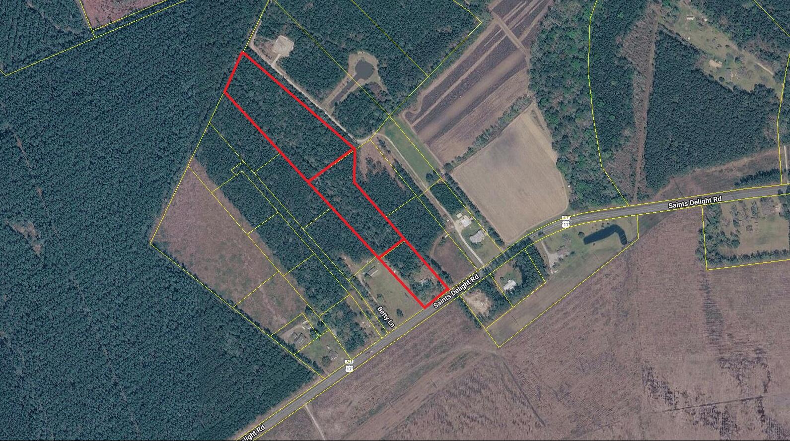 6222 Saints Delight Road Georgetown, SC 29440 - Photo 6 of 31 Aerial View2