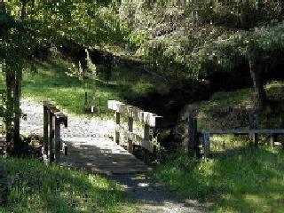 18015 Coleman Valley Road Occidental, CA 95465 - Photo 4 of 5 Gallery Image 4