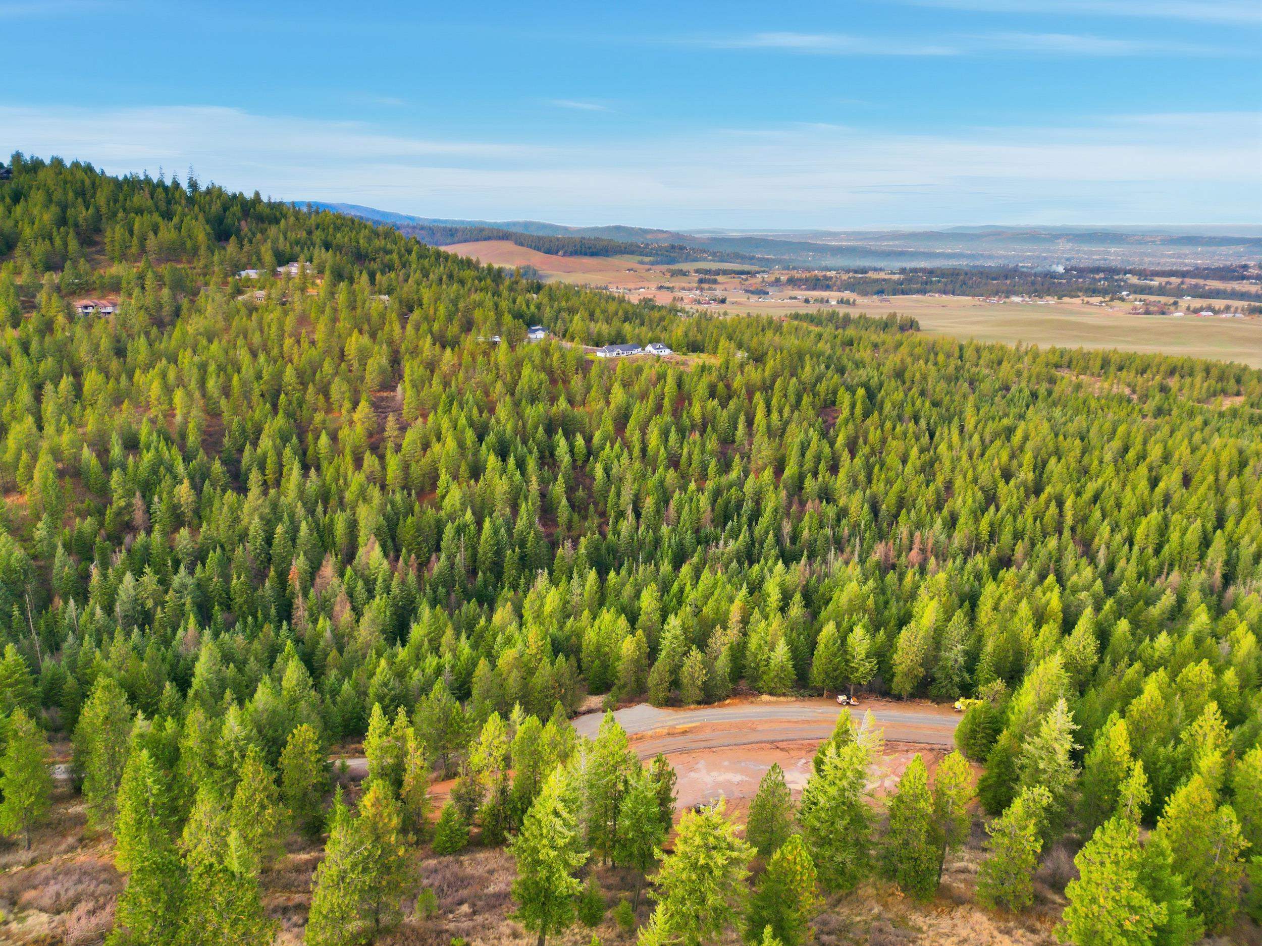 Xxx South Campbell Road Greenacres, WA 99016 - Photo 4 of 26