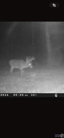 $465,000 | 6203 La Highway, Norwood, LA 70761