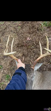 $465,000 | 6203 La Highway, Norwood, LA 70761