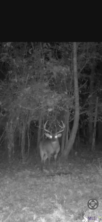 $465,000 | 6203 La Highway, Norwood, LA 70761