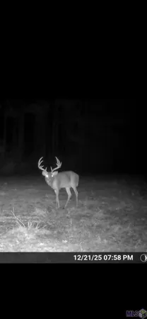 $465,000 | 6203 La Highway, Norwood, LA 70761