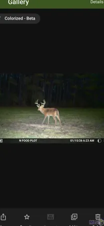 $465,000 | 6203 La Highway, Norwood, LA 70761