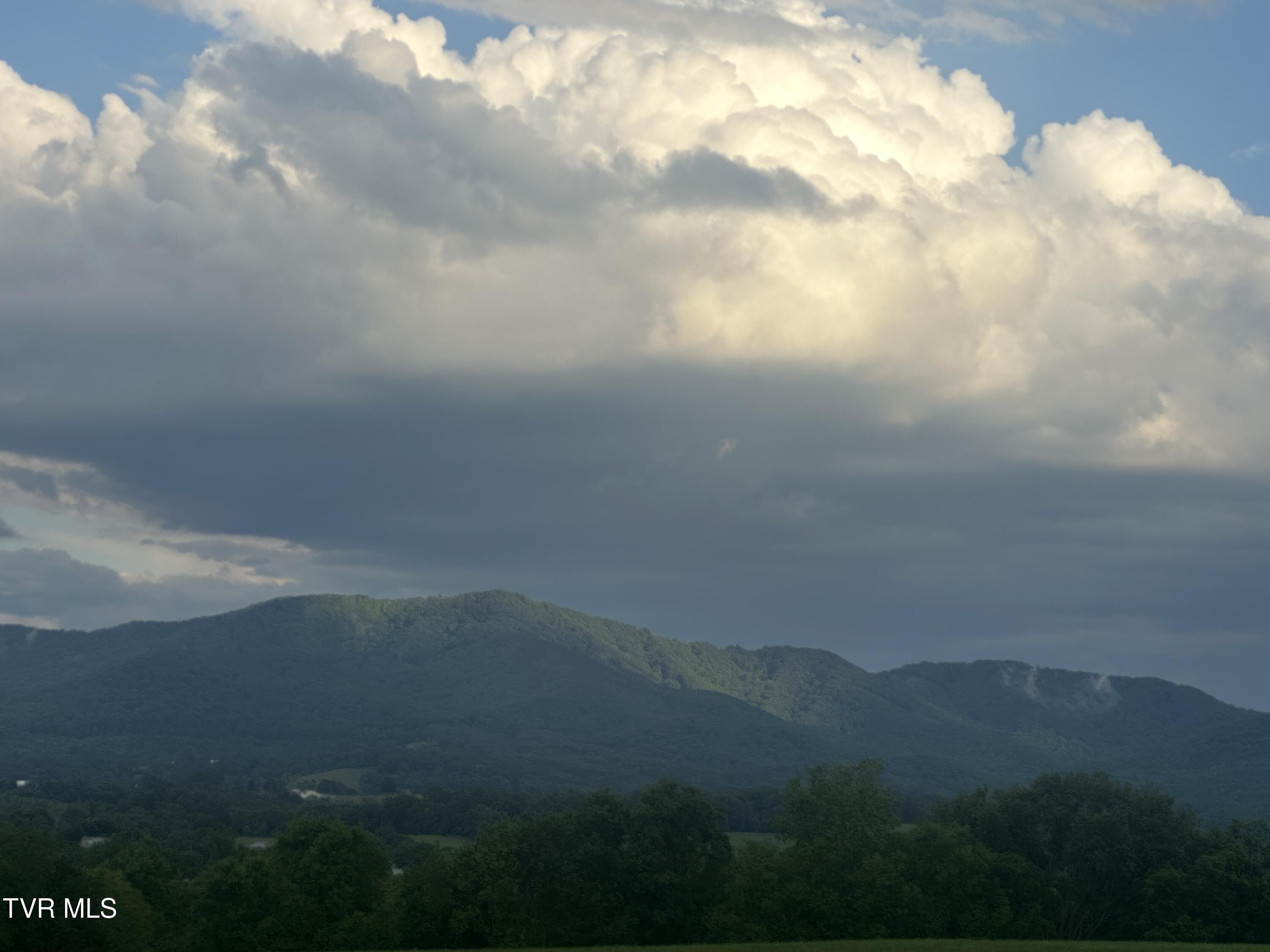 1070 Nolichuckey Road Greeneville, TN 37743 - Photo 3 of 66 IMG_4758