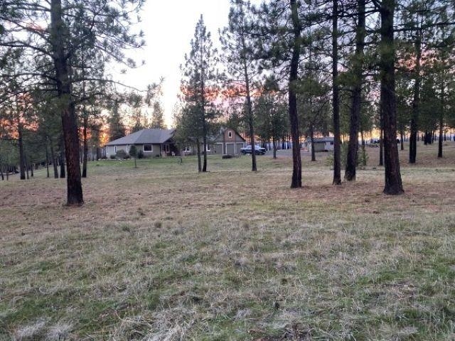 14021 East Nelson Road Elk, WA 99009 - Photo 43 of 49