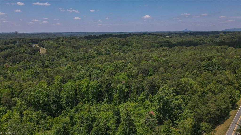 Xx 31.85-ac Xx 31.85-ac Hampton Road Germanton, NC 27019 - Photo 10 of 33