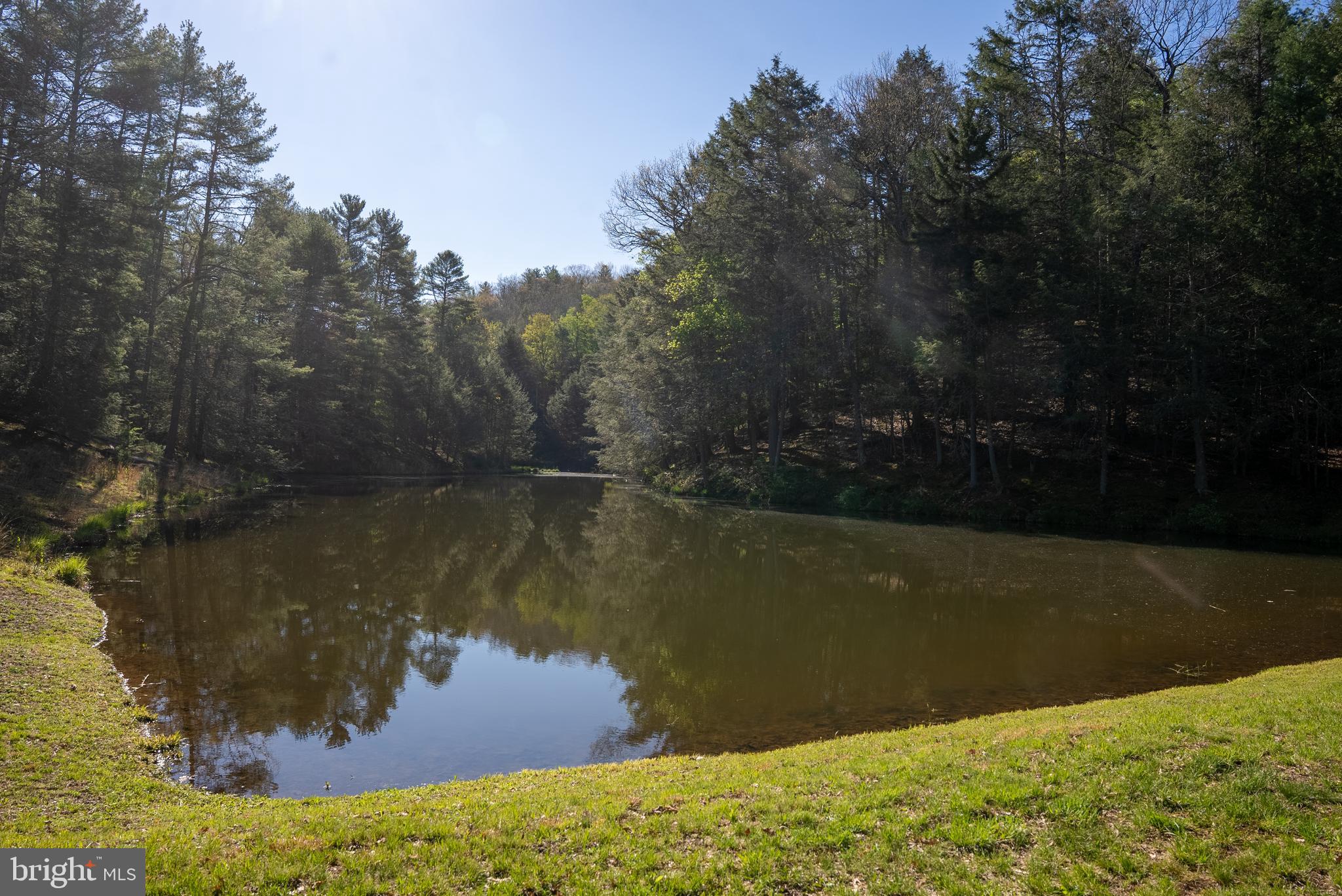 199 Green Bank Road Arbovale, WV 24915 - Photo 12 of 113