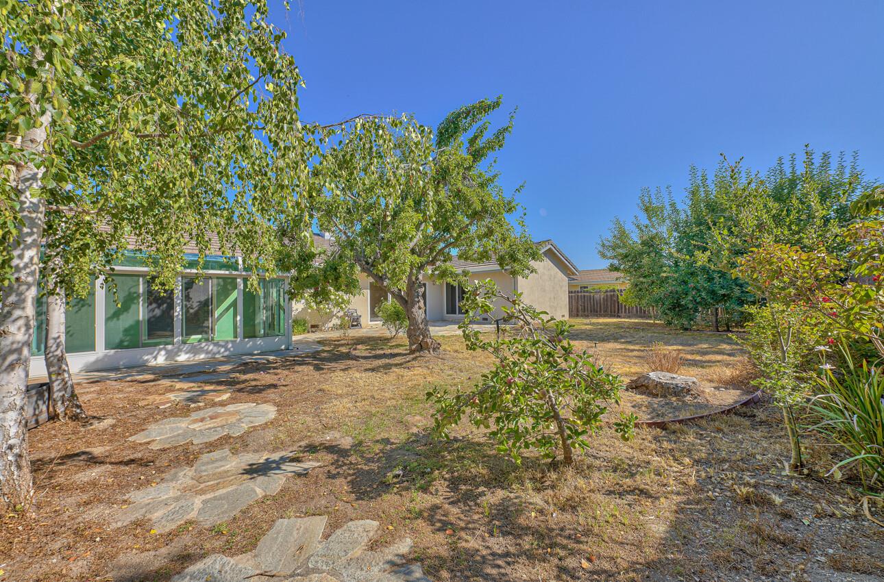 23007 Espada Drive Salinas, CA 93908 - Photo 33 of 39 a view of a yard with plants and trees
