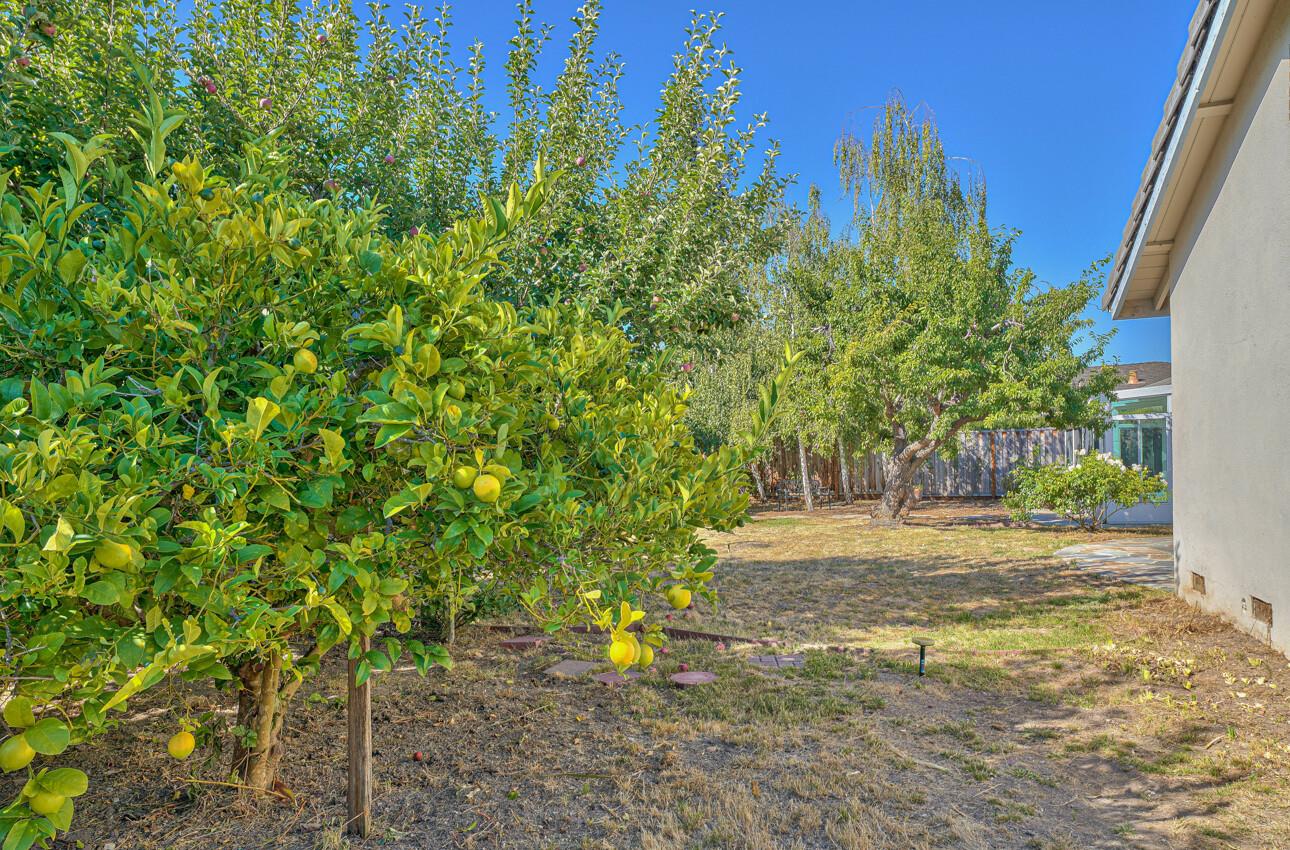 23007 Espada Drive Salinas, CA 93908 - Photo 37 of 39 a view of outdoor space and yard