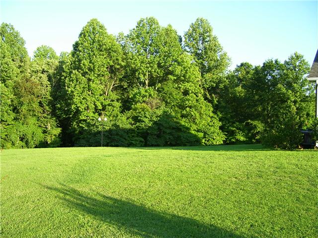 2395 Lights Chapel Road Greenbrier, TN 37073 - Photo 11 of 16 Back yard