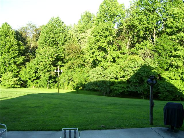 2395 Lights Chapel Road Greenbrier, TN 37073 - Photo 6 of 16 View of back yard from covered porch