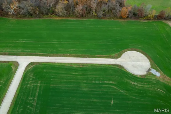 $50,000 | 335 Bertha E Dumey Drive, Benton, MO 63736