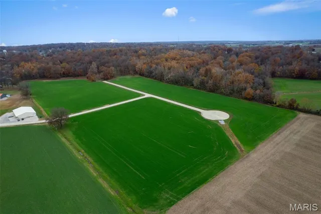 $50,000 | 335 Bertha E Dumey Drive, Benton, MO 63736