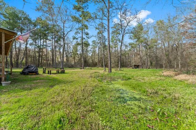 a view of a park with large trees
