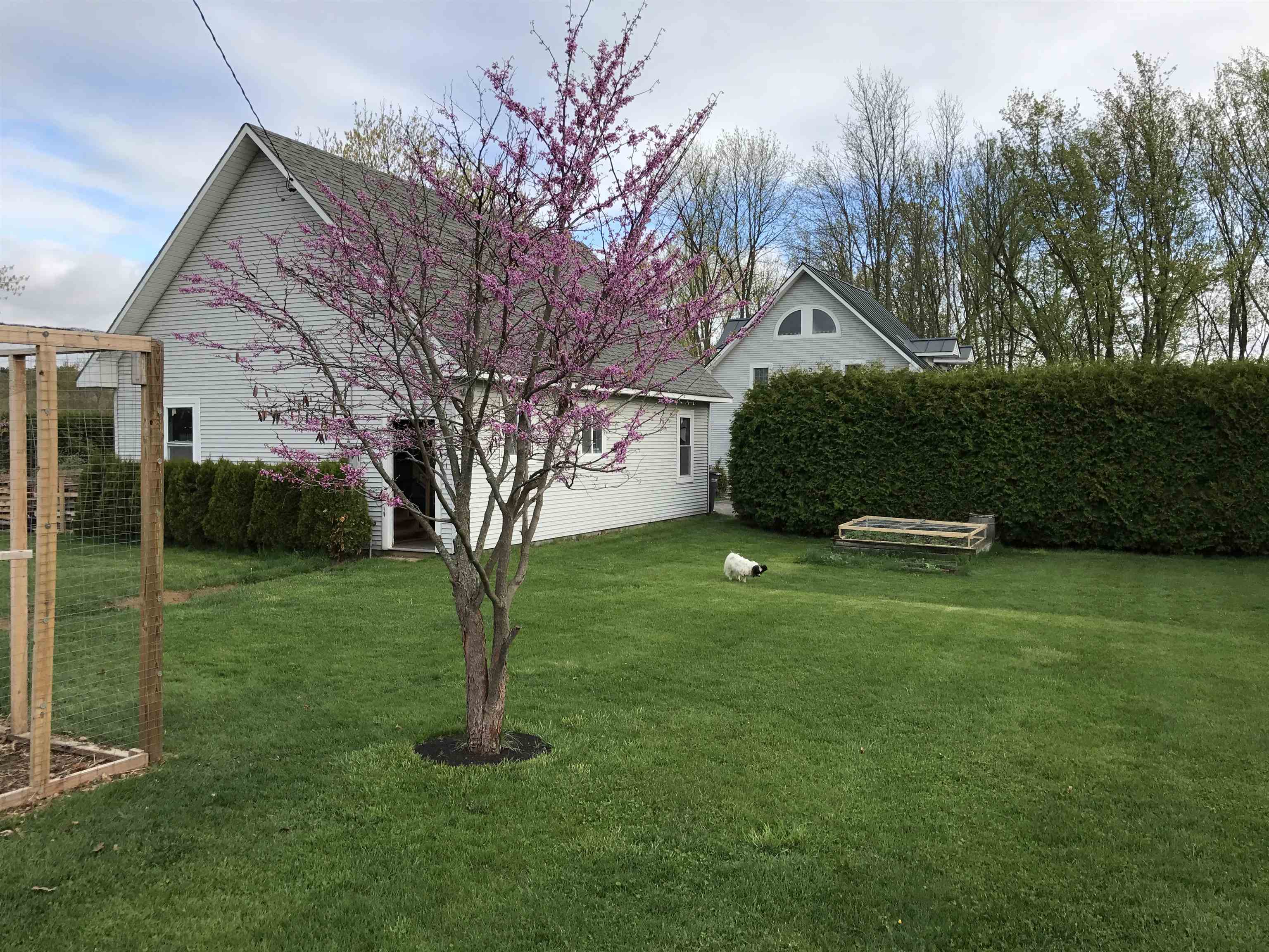 217 Ferry Road Ferrisburgh, VT 05491 - Photo 3 of 58