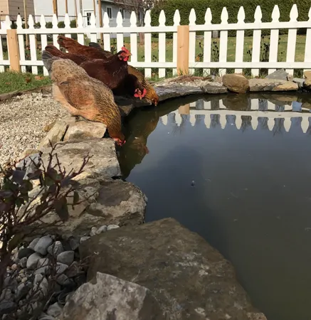 $479,000 | 217 Ferry Road, Ferrisburgh, VT 05491