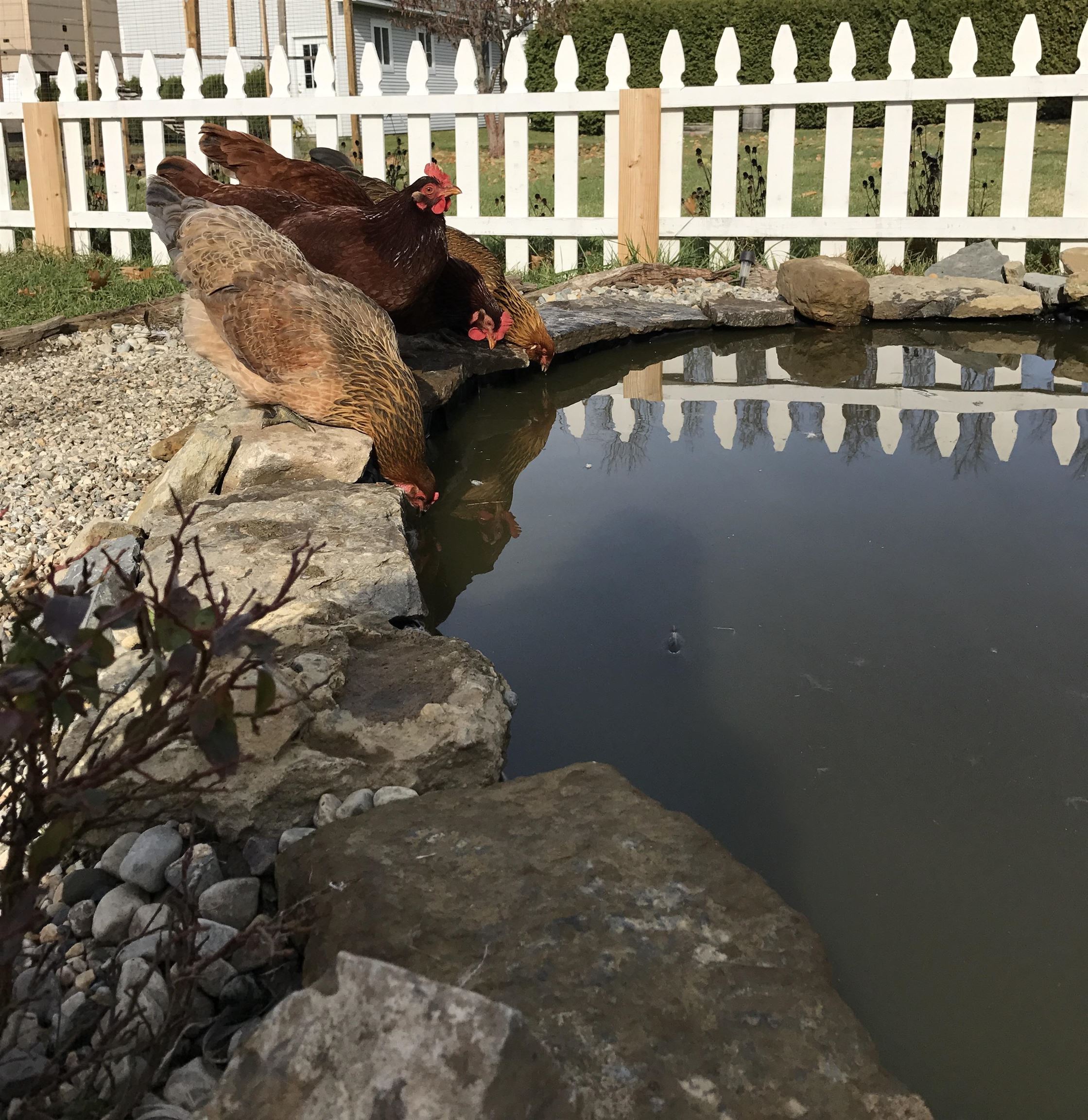 217 Ferry Road Ferrisburgh, VT 05491 - Photo 31 of 58