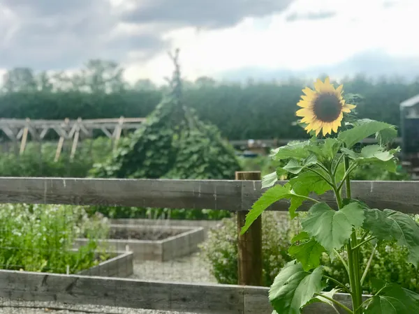 $479,000 | 217 Ferry Road, Ferrisburgh, VT 05491