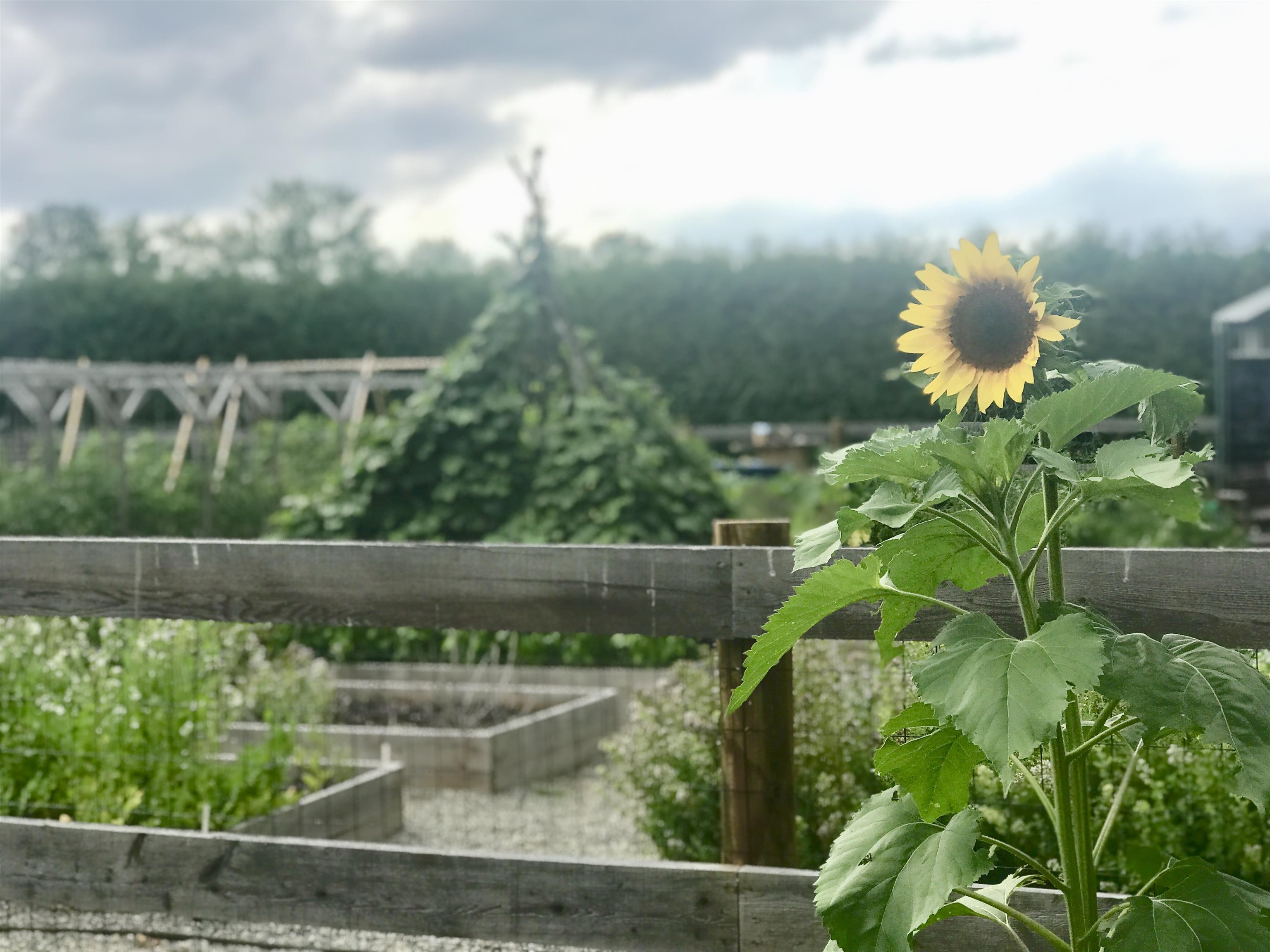 217 Ferry Road Ferrisburgh, VT 05491 - Photo 35 of 58