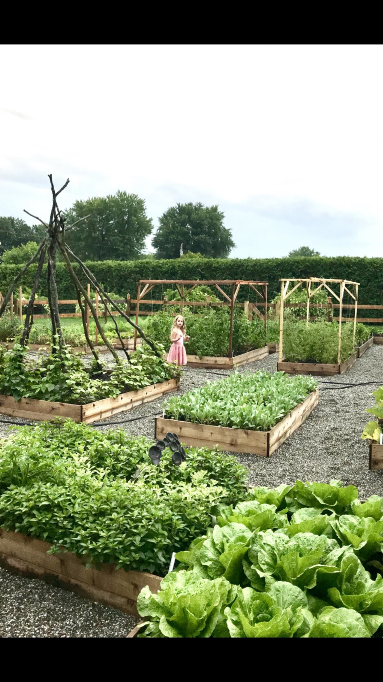 217 Ferry Road Ferrisburgh, VT 05491 - Photo 36 of 58