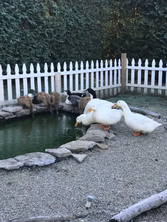 $479,000 | 217 Ferry Road, Ferrisburgh, VT 05491