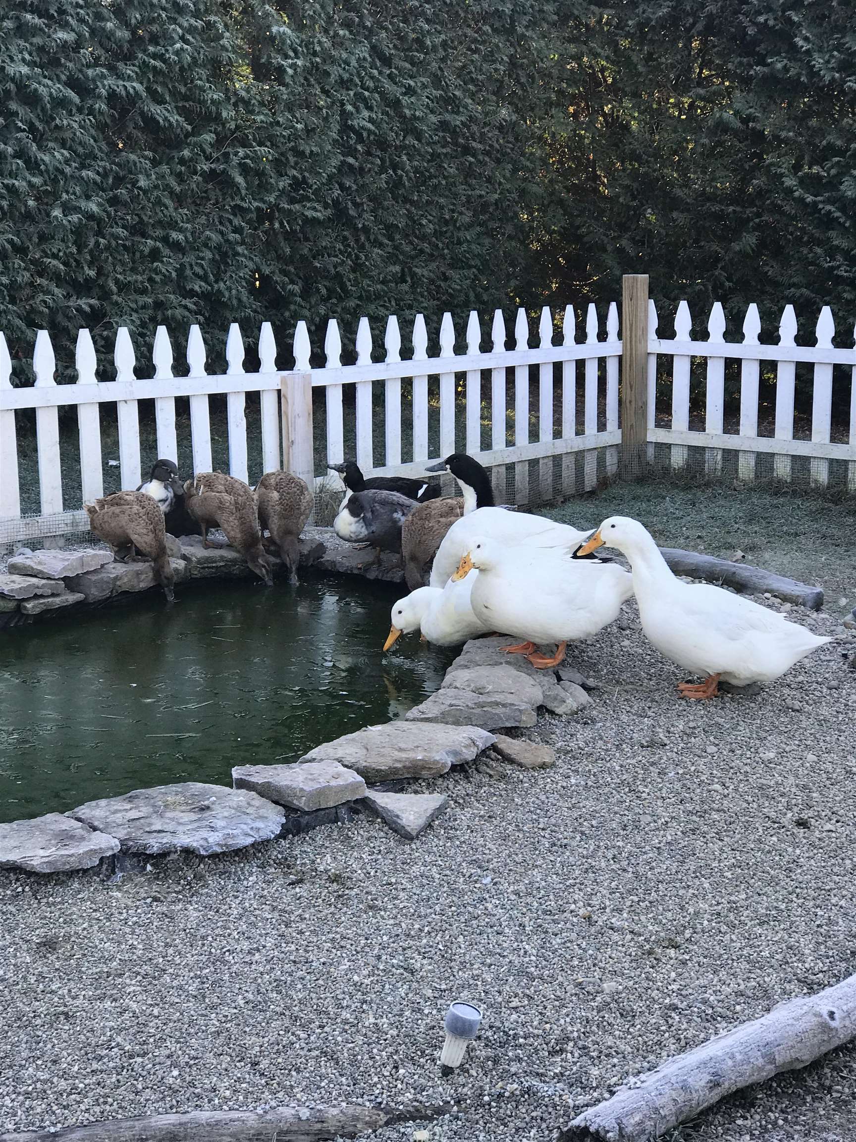 217 Ferry Road Ferrisburgh, VT 05491 - Photo 49 of 58