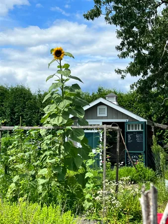 $479,000 | 217 Ferry Road, Ferrisburgh, VT 05491