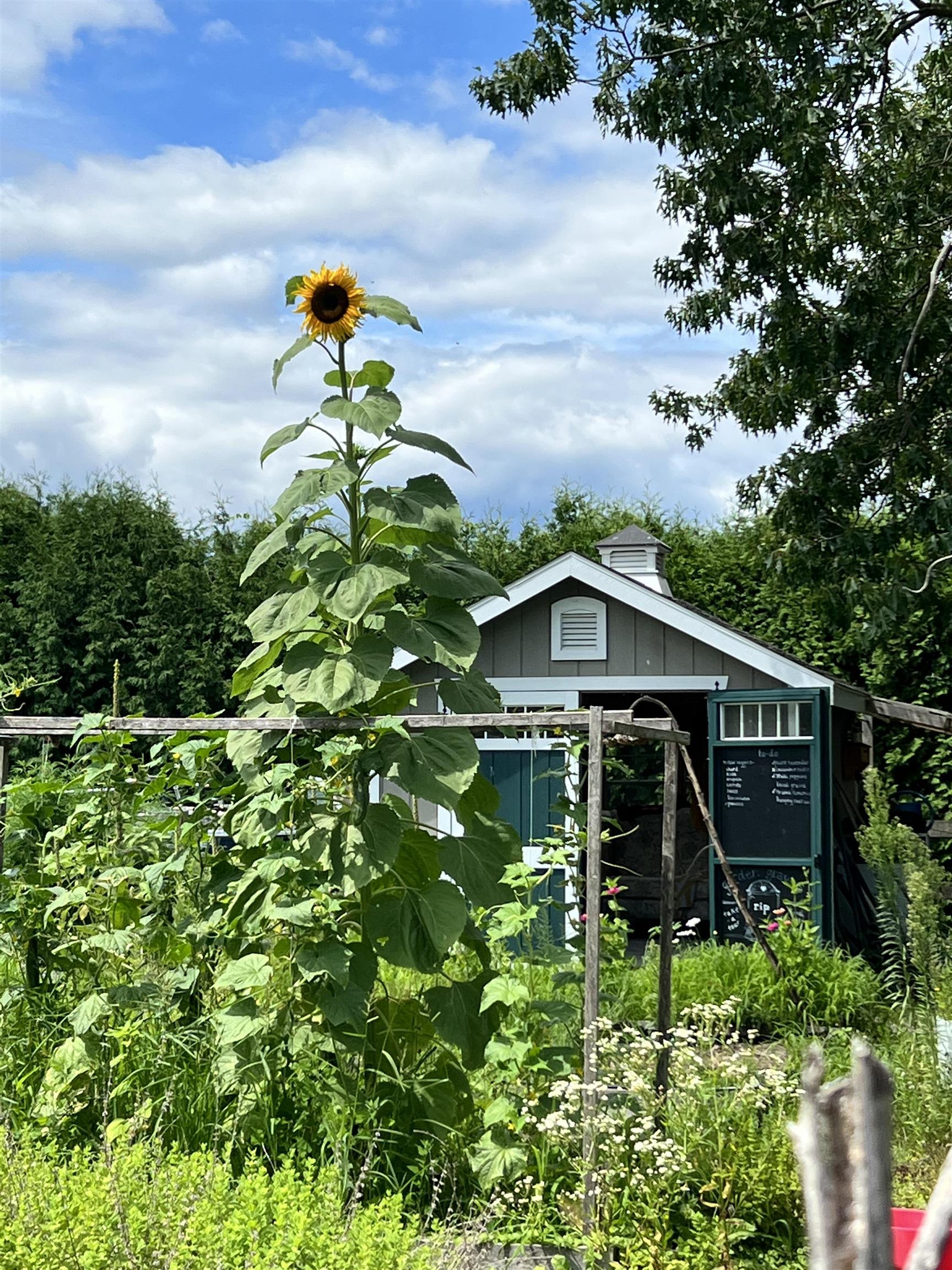 217 Ferry Road Ferrisburgh, VT 05491 - Photo 50 of 58