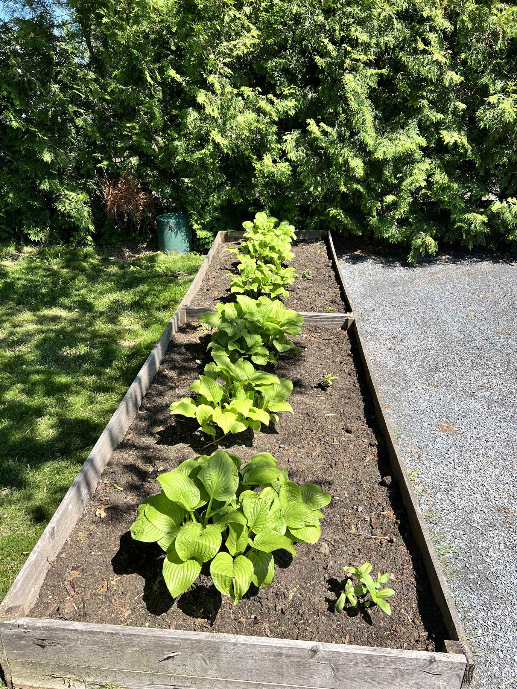 217 Ferry Road Ferrisburgh, VT 05491 - Photo 56 of 58