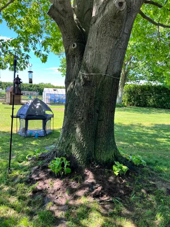 $479,000 | 217 Ferry Road, Ferrisburgh, VT 05491