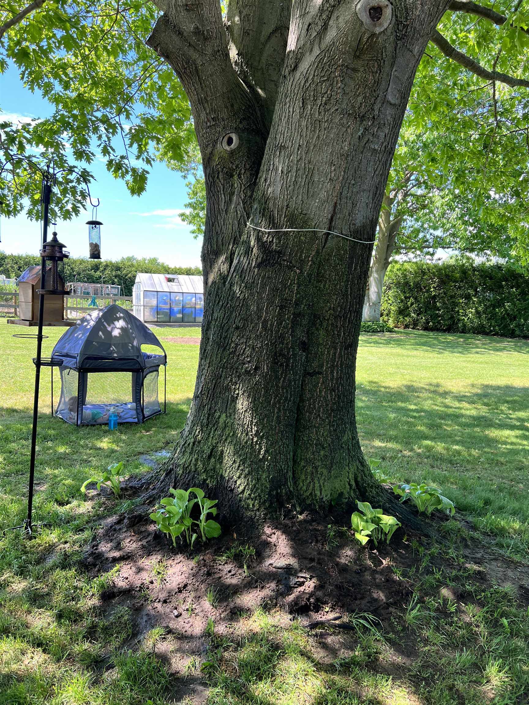 217 Ferry Road Ferrisburgh, VT 05491 - Photo 57 of 58