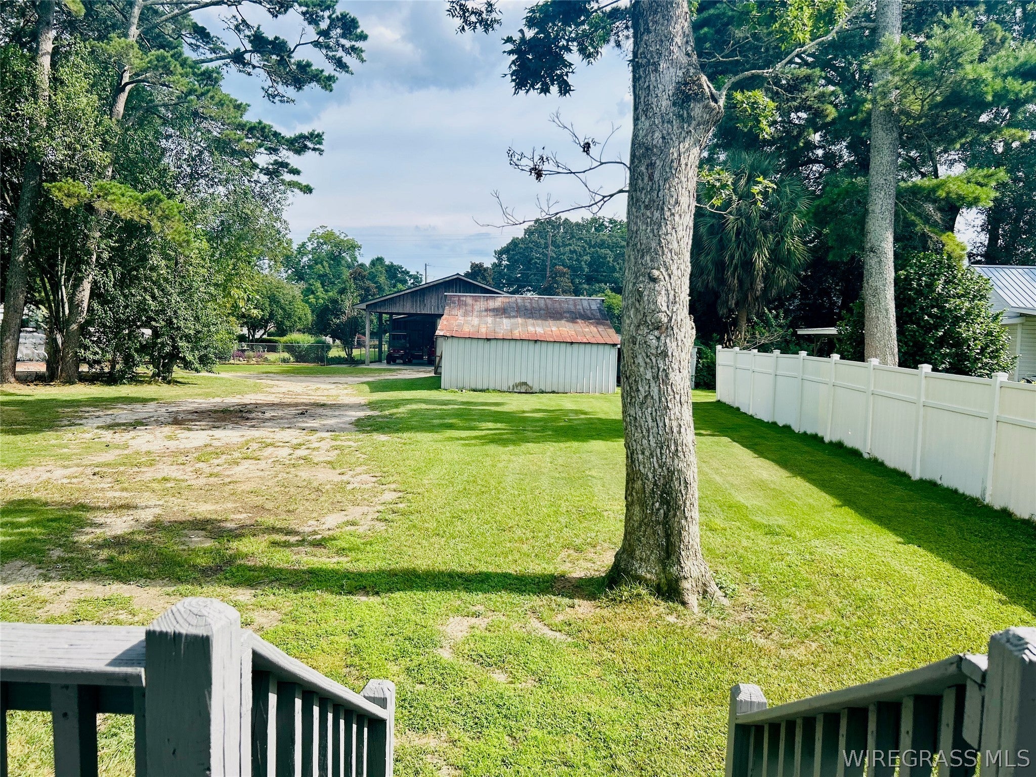 403 West Main Street Samson, AL 36477 - Photo 28 of 30 Back driveway and yard