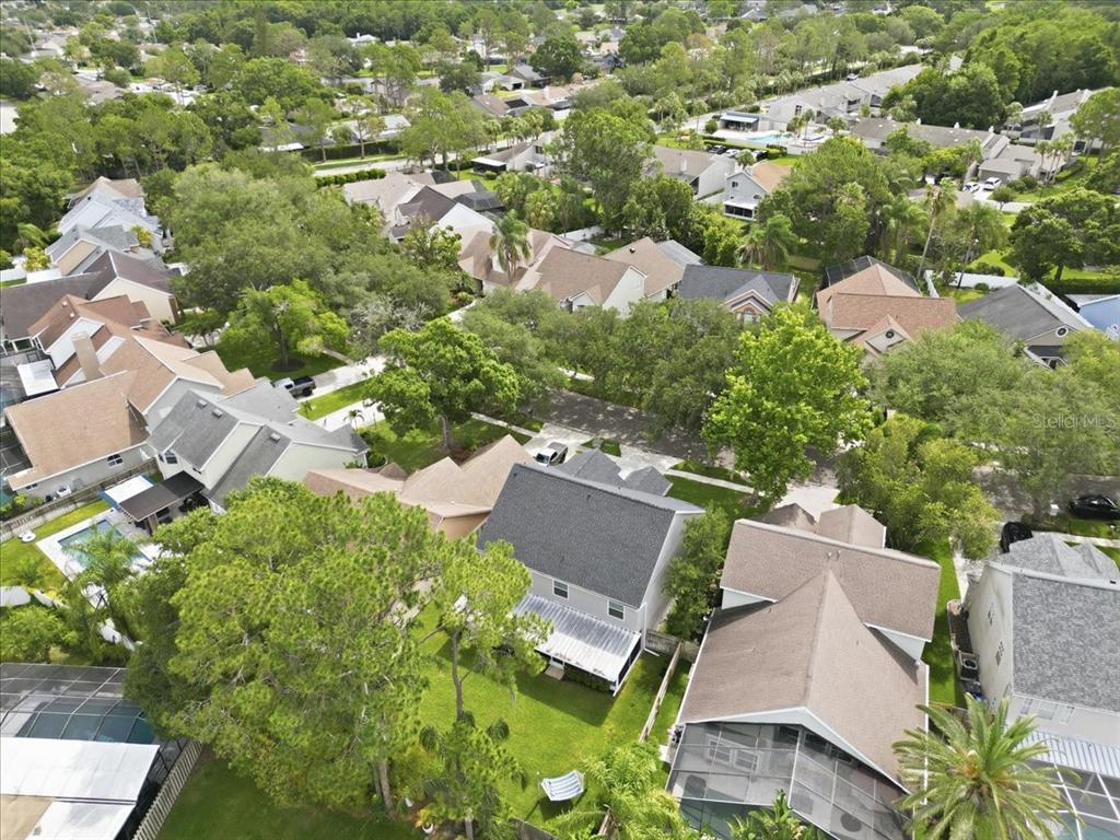 14518 Nettlecreek Road Tampa, FL 33624 - Photo 53 of 54